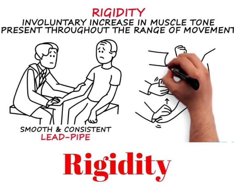 20 Best Exercise for Reducing Rigidity for Parkinson's People