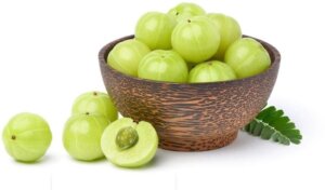 Amla in Neurological Disorders