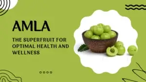 Incorporating Amla into a Brain-Healthy Diet