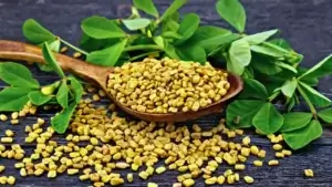 Nutritional Benefits of Fenugreek (Methi)