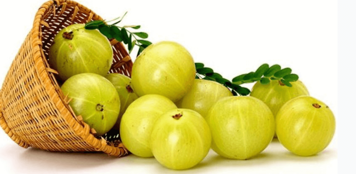 Amla (Indian Gooseberry) and its Neuro-Protective Properties