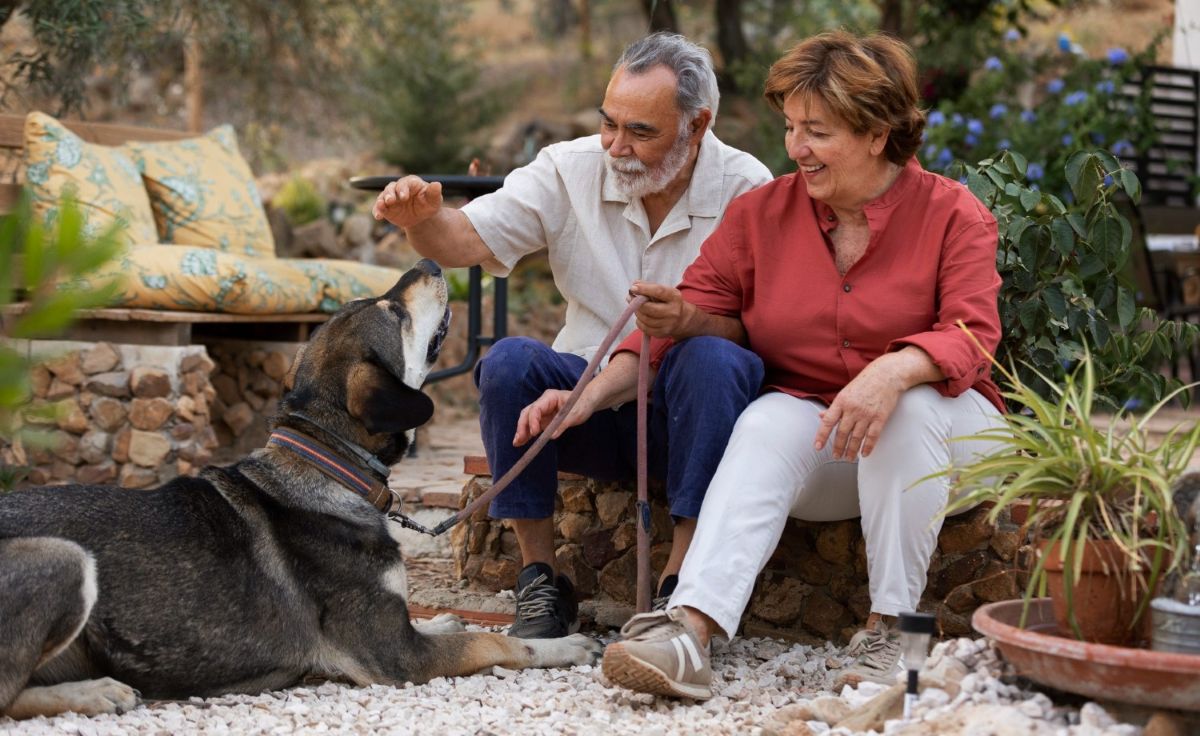 Animal-Assisted Therapy